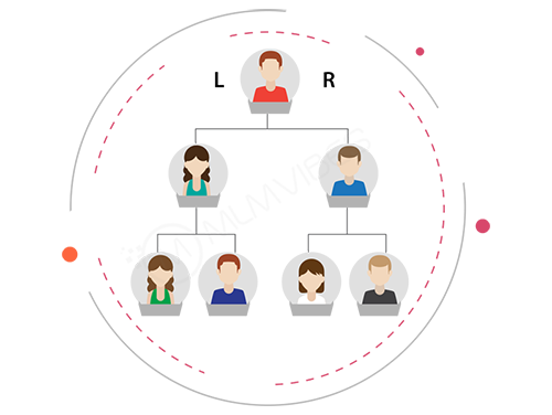 MLM Binary Software