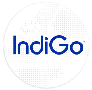  Indigo